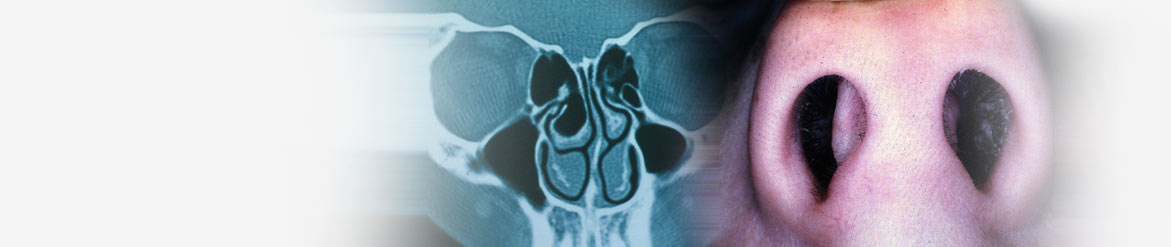 Best ENT surgeon in india, ENT specialist in india, Best Head & Neck Surgeon in India, India Best Pediatric ENT Surgeon